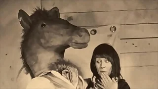 3233 hairy porn videos